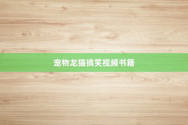 宠物龙猫搞笑视频书籍